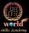 World Skills Academy
